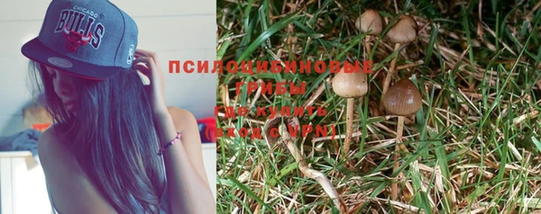 mdpv Балабаново