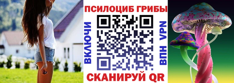 KRAKEN ссылки  Пятигорск  Галлюциногенные грибы MAGIC MUSHROOMS  купить  цена 